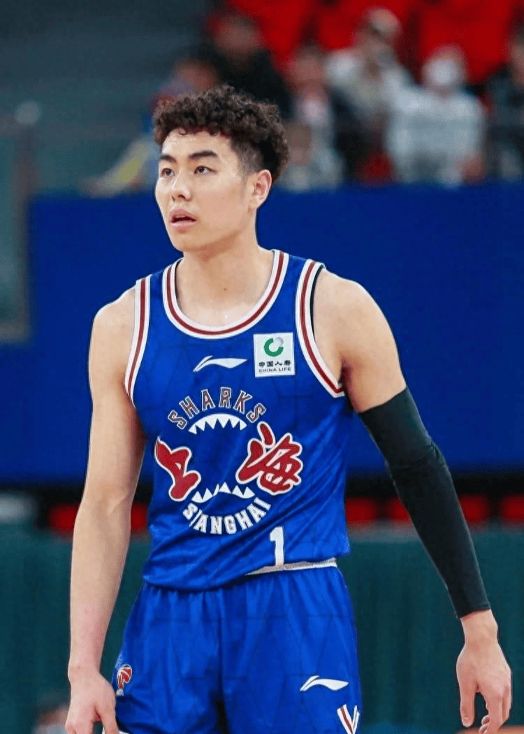 PG中国登录入口-孜孜不倦奋勇拼搏，河南男篮晋级八强意气风发